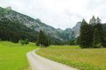 2014-07-05_Laengental-N-Hochweg (338). JPG